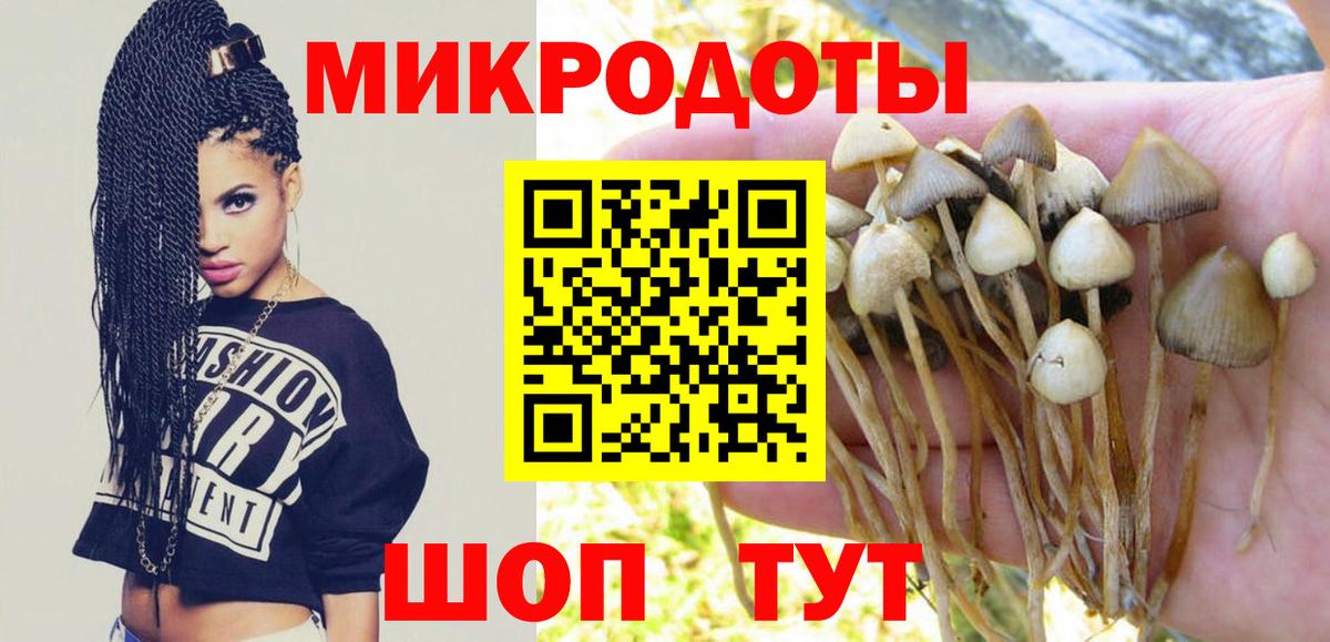 Псилоцибиновые грибы мухоморы  закладка  Екатеринбург  Вход с VPN 